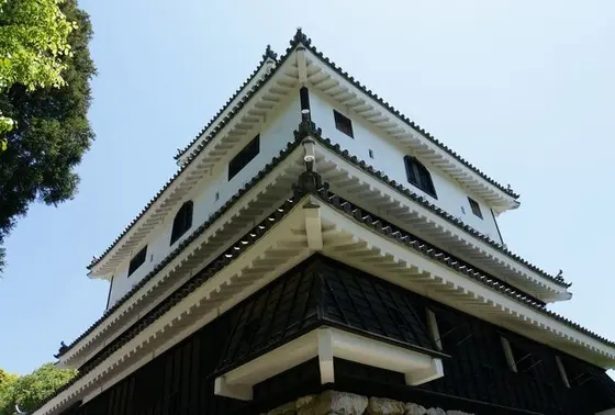 真下から眺めた天守