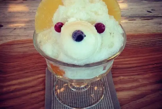SANDECO COFFEE的白熊