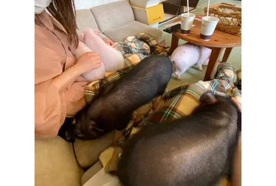 かわいくて癒されます