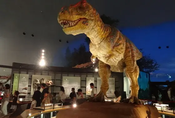 恐竜展示