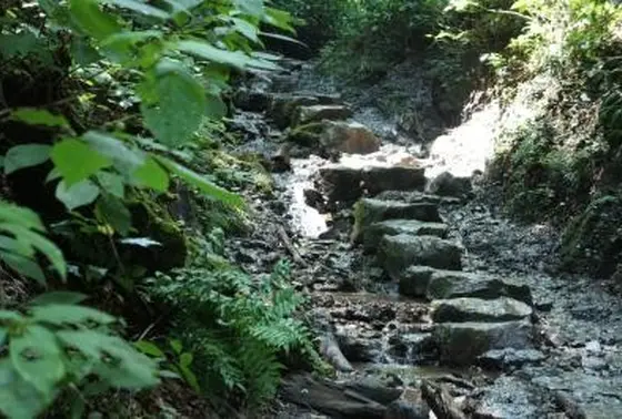 山頂に向かうルートは、6ルートありあります。その日の気分で、いざ山頂を目指し間ましょう！！