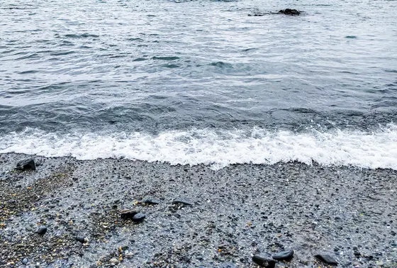 浜辺
