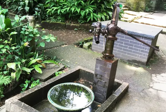 昔懐かしい手押しポンプ井戸も！
