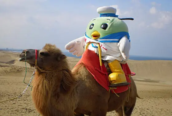 ラクダ乗り体験