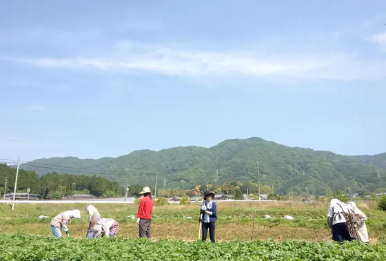 こんな農業風景にも出会えます♪