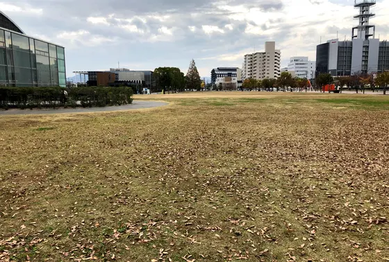 公園