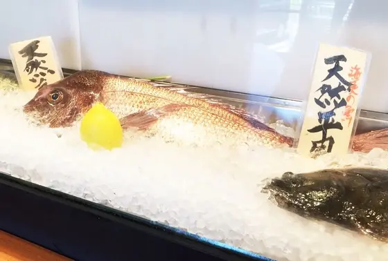 地魚