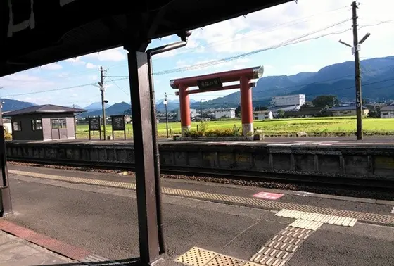 なぜか鳥居！