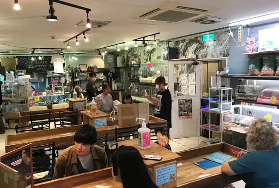 店内