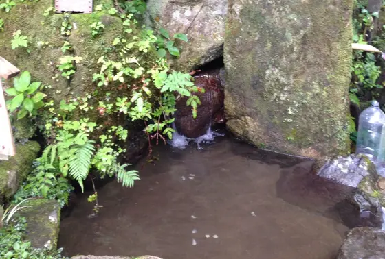 湧き水
