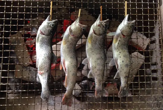 釣ったら食べよ！