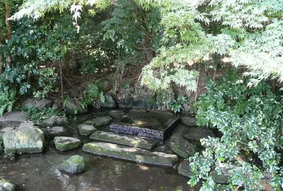 お茶の水
