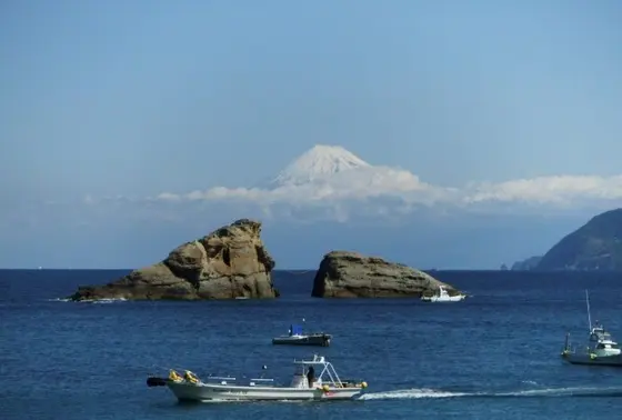 牛着岩
