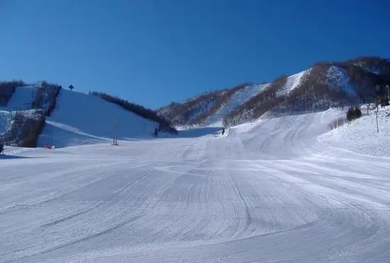 初心者コース