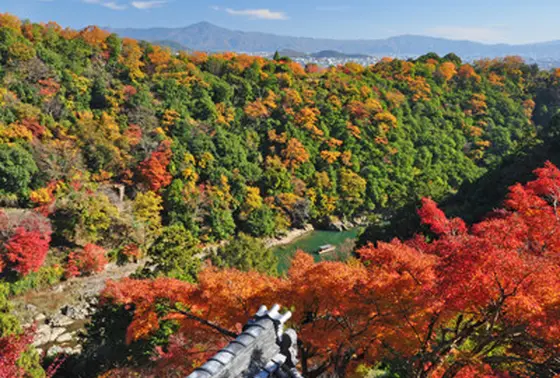 紅葉シーズン
