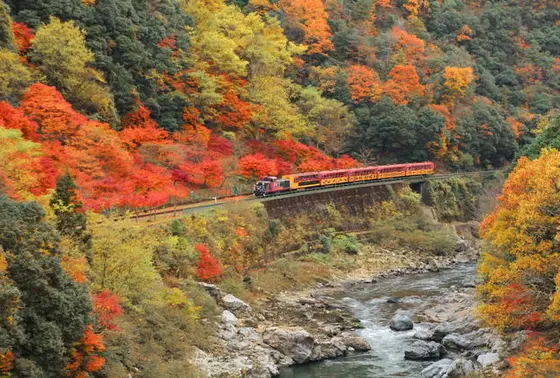 奥嵐山の絶景