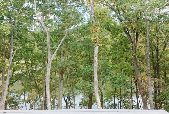 ウッドデッキに出ると…
