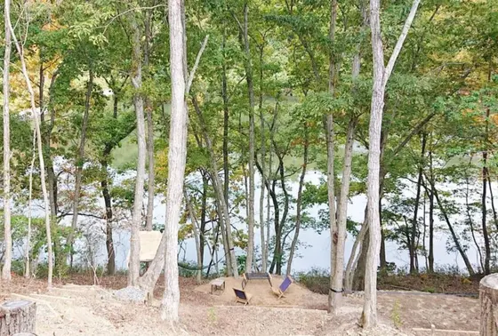 その奥には湖が…🦆
.
.
