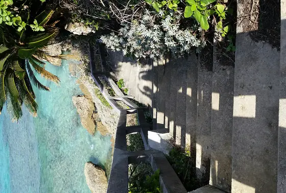 いちおし映えショット