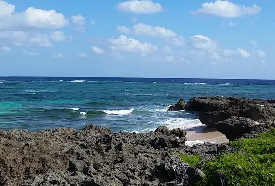 一面に広がる海