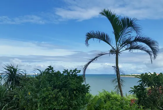 お庭からのシービュー