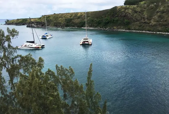 崖から見下ろせます