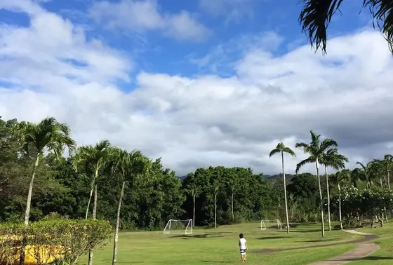 なんとサッカーも！