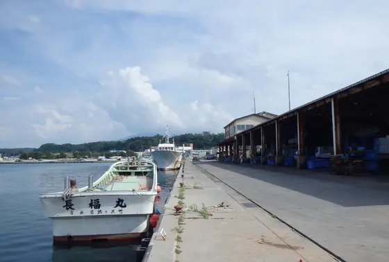 漁港を眺めながら丼を頬張ろう