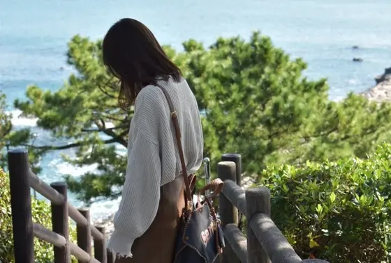 海