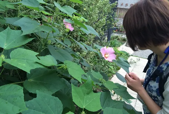 井戸ポンプの近くには...♡