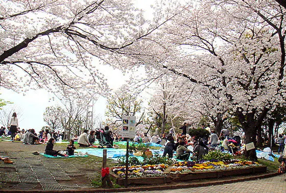 お花見