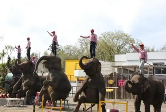 ぞうさんショー