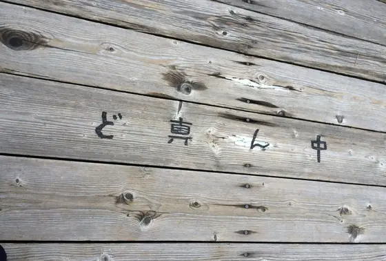 ど真ん中来ました。