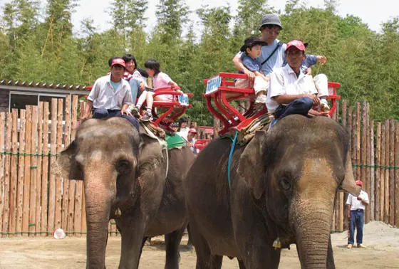 ぞうさんライド