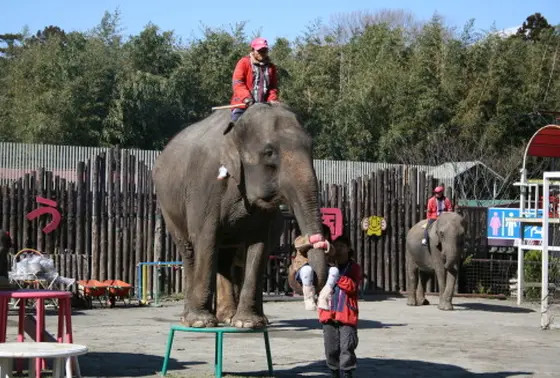 ぞうさんリフト