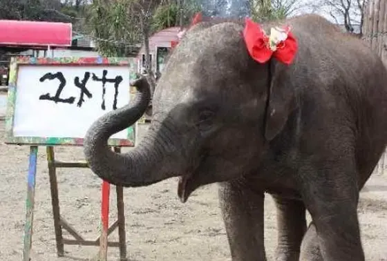 ゆめ花と記念撮影