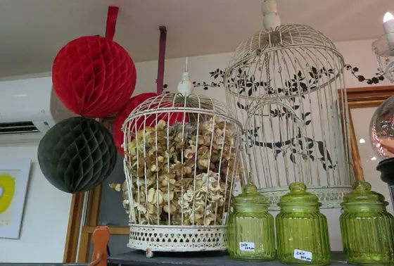 オシャレな鳥カゴ！