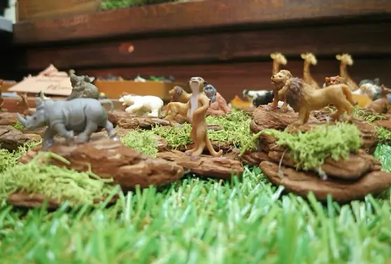 ミーアキャット