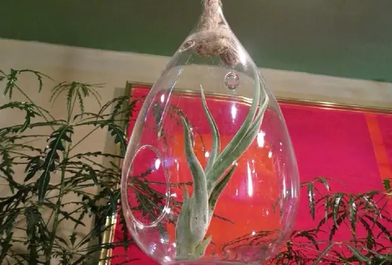 他では見ないようなアイテムも！