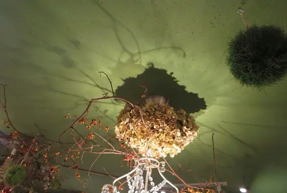 天井もお見逃しなく！