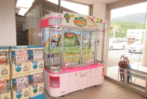 キャベツチップ