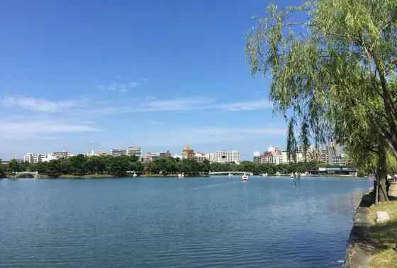 公園