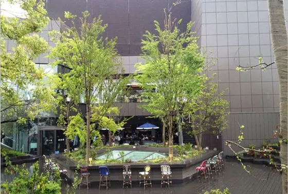 屋上テラスSTARBUCKS