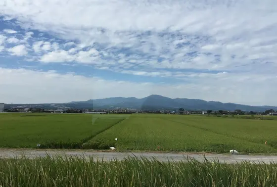田園風景