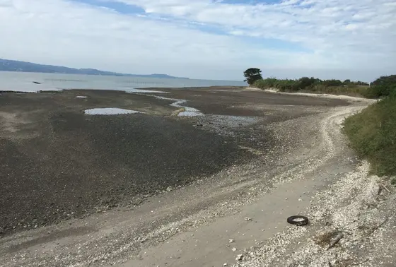 海岸沿い
