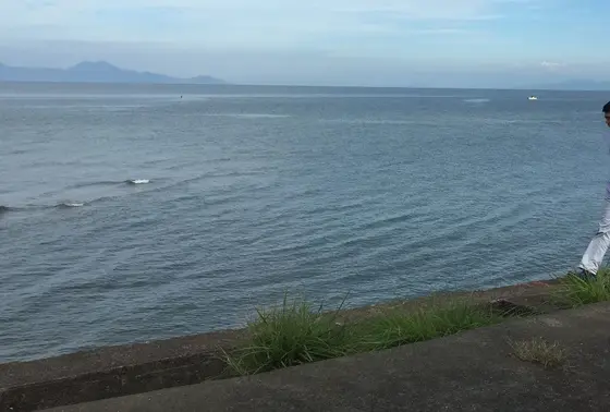 堤防沿いなど