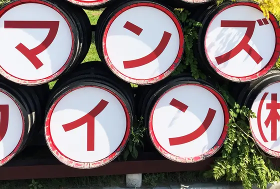 マンズはキッコーマン！