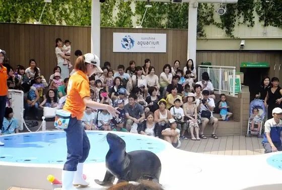 こんなに近くでショーを見るなんて！