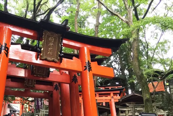 千本鳥居の入口