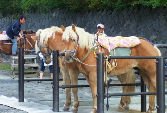 乗馬乗り場